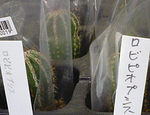 違う違うそうじゃなぁい