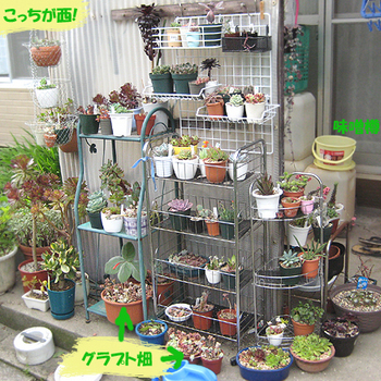 日当たり良好コーナー
