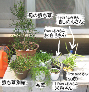 全員集合〜(*´∀`*)