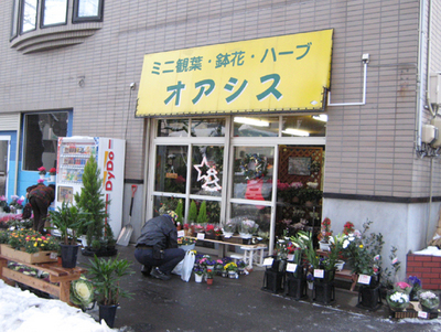 帰ってきたオアシス