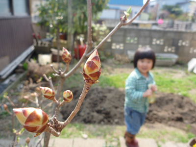 子供的観察力