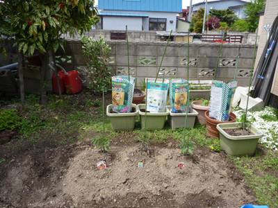 家庭菜園