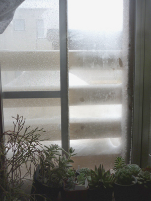 雪景色