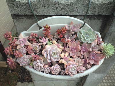 よく頑張りました