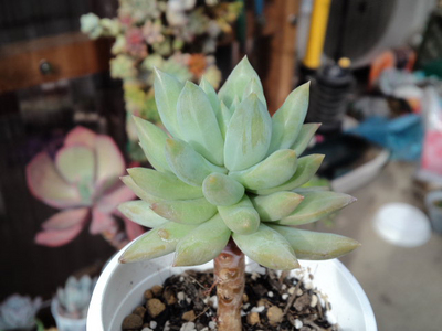 名無しの・・・