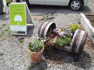 母の日に寄せ植えを贈ろう.jpg